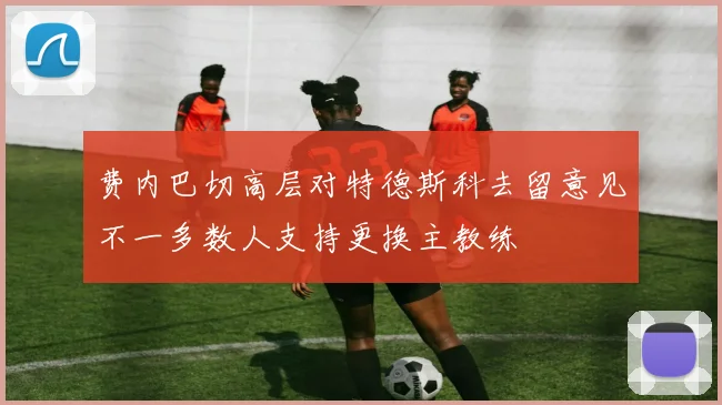费内巴切高层对特德斯科去留意见不一多数人支持更换主教练