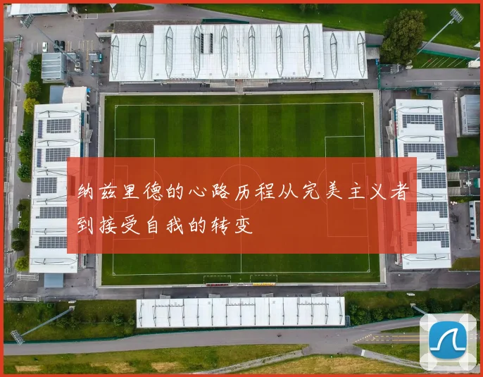 纳兹里德的心路历程从完美主义者到接受自我的转变